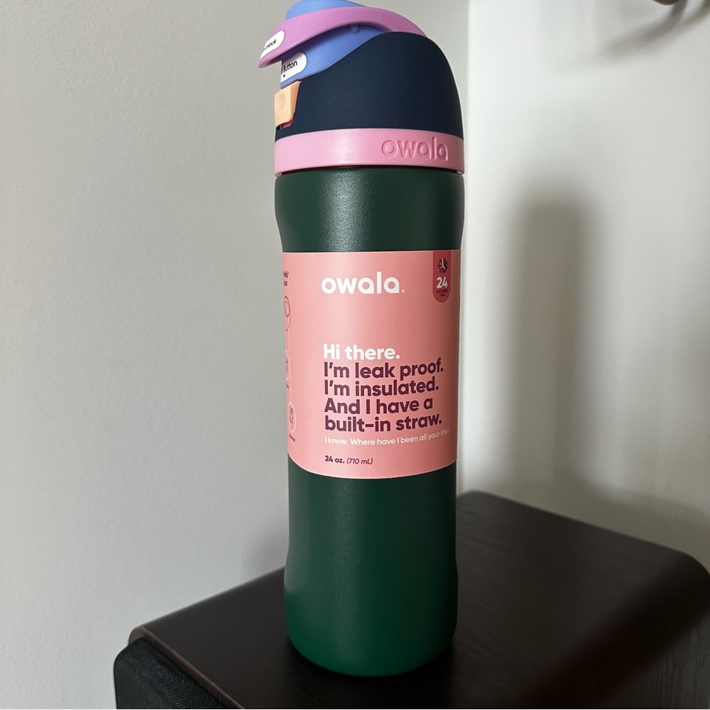 Owala 24 oz. Forest fairy Green and Pink Insulated Water Bottle